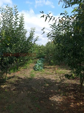 ������� ���� | Imot.bg � ����� ������ 2