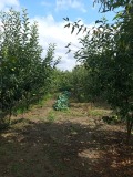 Продава  Къща област Варна , с. Ново Оряхово , 400 кв.м | 49853411 - изображение [2]