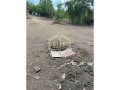 Продава  Парцел град Русе , в.з. Касева Чешма , 1117 кв.м | 29827761 - изображение [16]