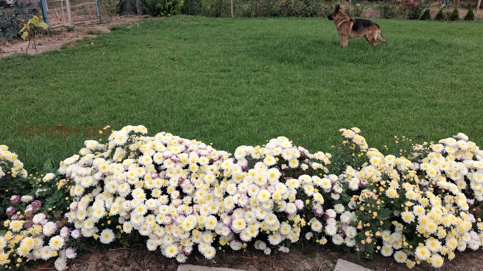 ������� ������ | Imot.bg � ����������� 1