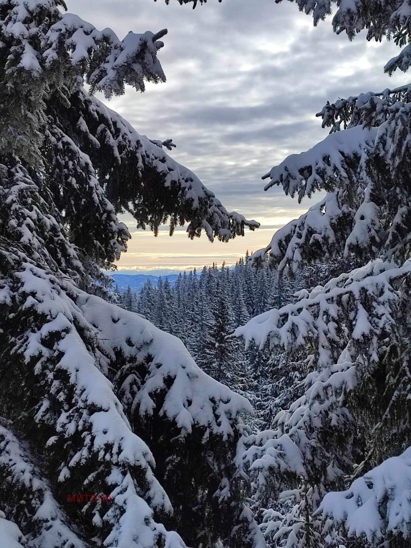 Продава  1-стаен област Смолян , к.к. Пампорово , 32 кв.м | 47883276 - изображение [12]