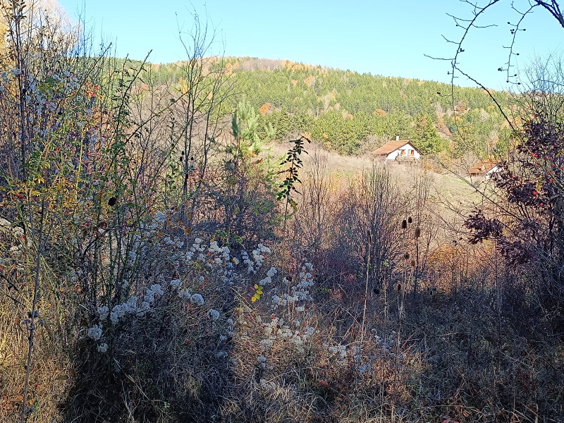 Продава ПАРЦЕЛ, гр. София, гр. Нови Искър