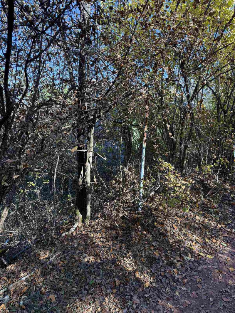 Продава ПАРЦЕЛ, гр. София, гр. Нови Искър, снимка 2 - Парцели - 52623368