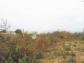 Продава  Парцел град Варна , м-т Планова , 1209 кв.м | 89580658 - изображение [2]