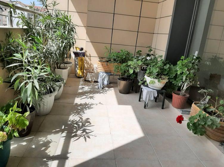 ������� 3-����� | Imot.bg � ����������� 5