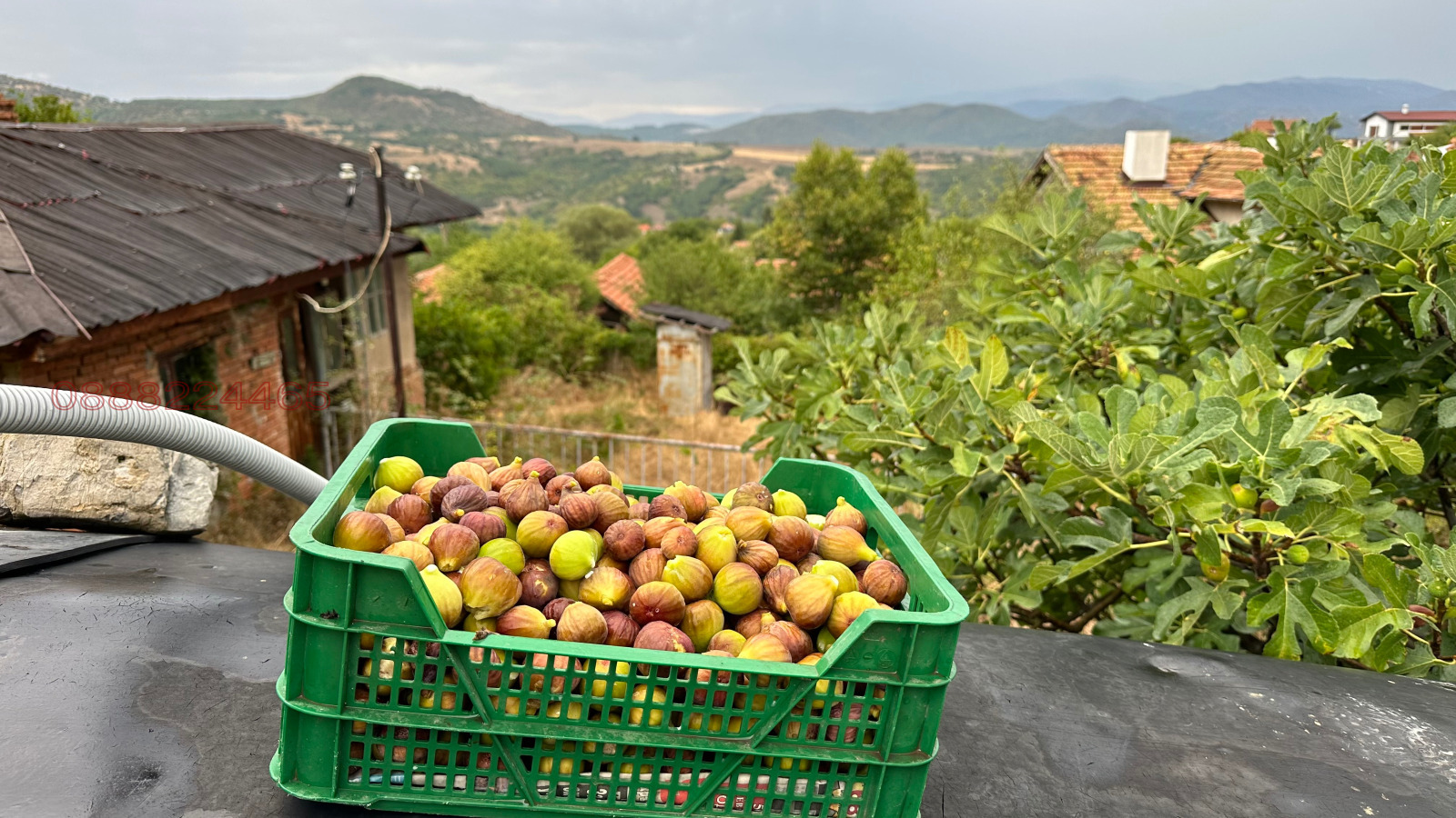 ������� ���� | Imot.bg � ����������� 17