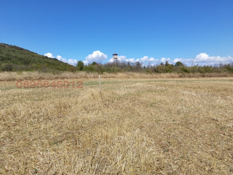 Продава ПАРЦЕЛ, гр. Черноморец, област Бургас, снимка 6 - Парцели - 52779037