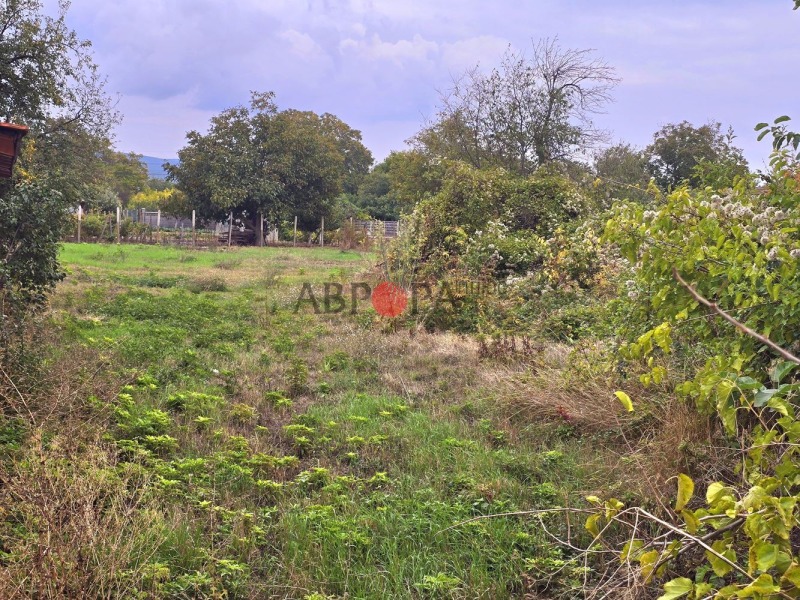 Продава ПАРЦЕЛ, с. Гюльовца, област Бургас, снимка 8 - Парцели - 53315964