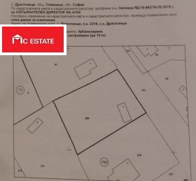 ������ ������� ������