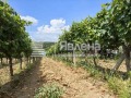 Продава КЪЩА, с. Лозеница, област Благоевград, снимка 6