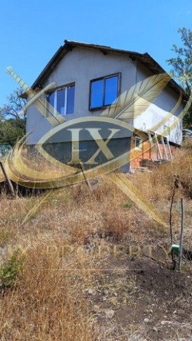 ������ ������� ������