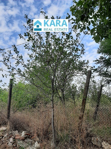 Продава ПАРЦЕЛ, с. Опълченско, област Кърджали, снимка 2 - Парцели - 53081304