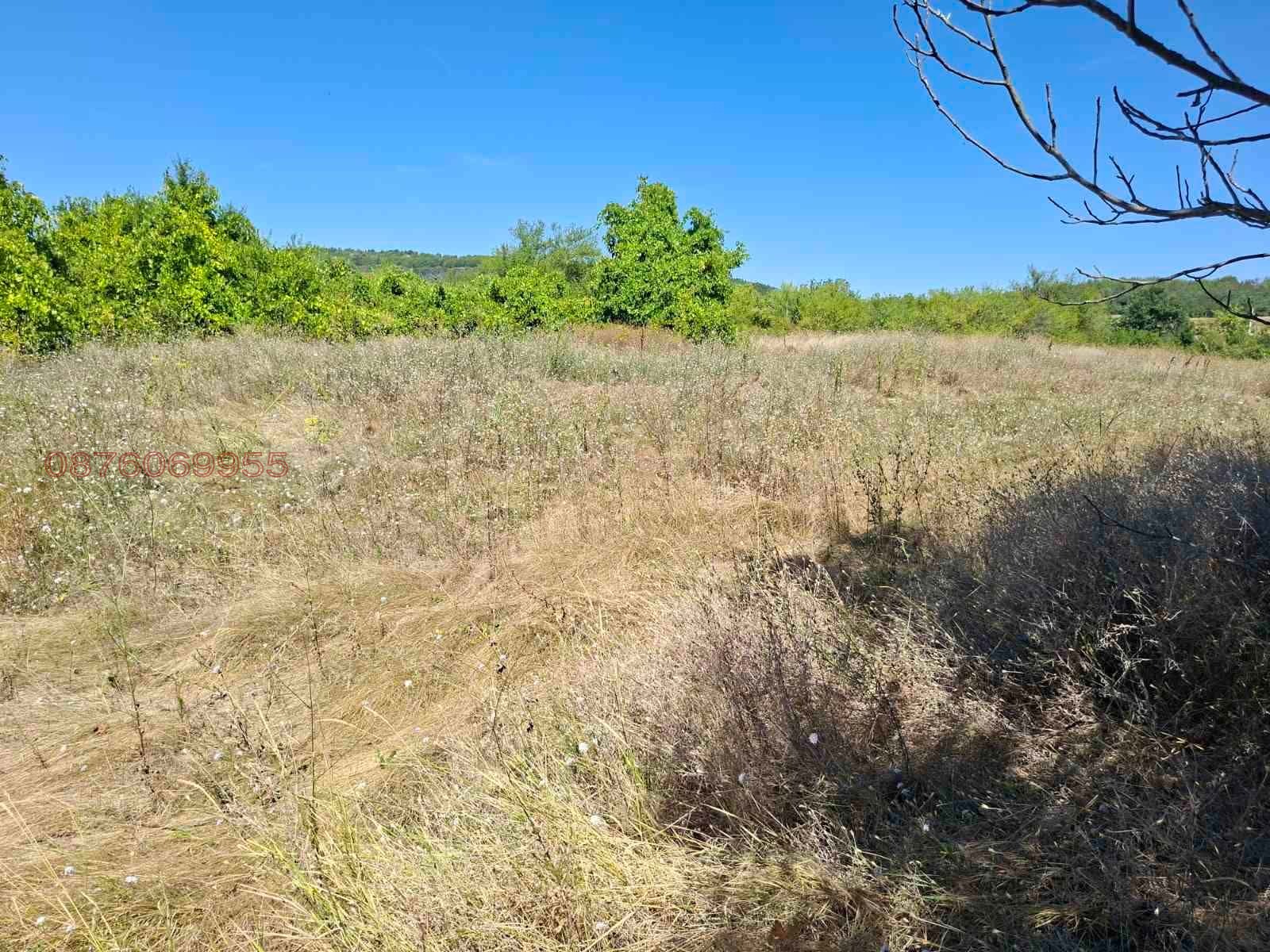 Продава ПАРЦЕЛ, с. Церова кория, област Велико Търново