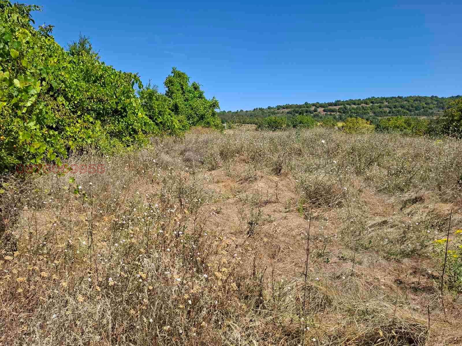 Продава ПАРЦЕЛ, с. Церова кория, област Велико Търново, снимка 5 - Парцели - 56244963