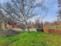 Продава ВИЛА, с. Огняново, област Пазарджик, снимка 1