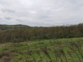 Продава ЗЕМЕДЕЛСКА ЗЕМЯ, с. Солник, област Варна, снимка 2