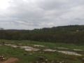 Продава ЗЕМЕДЕЛСКА ЗЕМЯ, с. Солник, област Варна, снимка 3