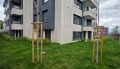 Продава  4-стаен град София , Драгалевци , 173 кв.м | 90685467 - изображение [4]