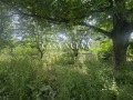 Продава  Парцел град Перник , Църква , 1258 кв.м | 67066424 - изображение [2]