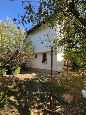 ����� ������� ����,�. ���������, ������ �������