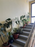 Продава  2-стаен град Пловдив , Тракия , 55 кв.м | 46416957 - изображение [10]
