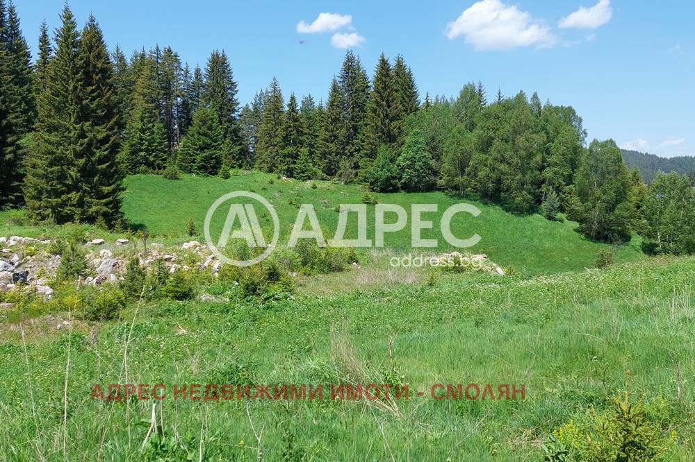 ������� ������ | Imot.bg � ����������� 3