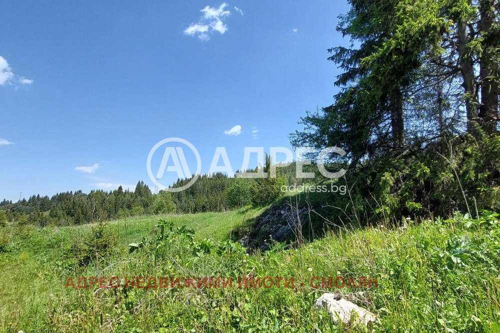 ������� ������ | Imot.bg � ����������� 7