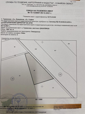 ������ ������� ���������� ����