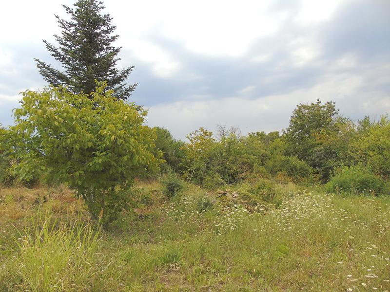 Продава ПАРЦЕЛ, с. Церова кория, област Велико Търново