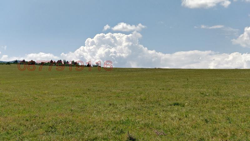 Продава ПАРЦЕЛ, гр. София, Суходол, снимка 8 - Парцели - 54014935