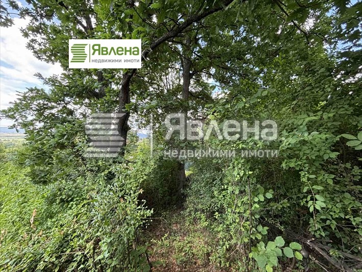 Продава ПАРЦЕЛ, с. Рударци, област Перник, снимка 4 - Парцели - 52842362