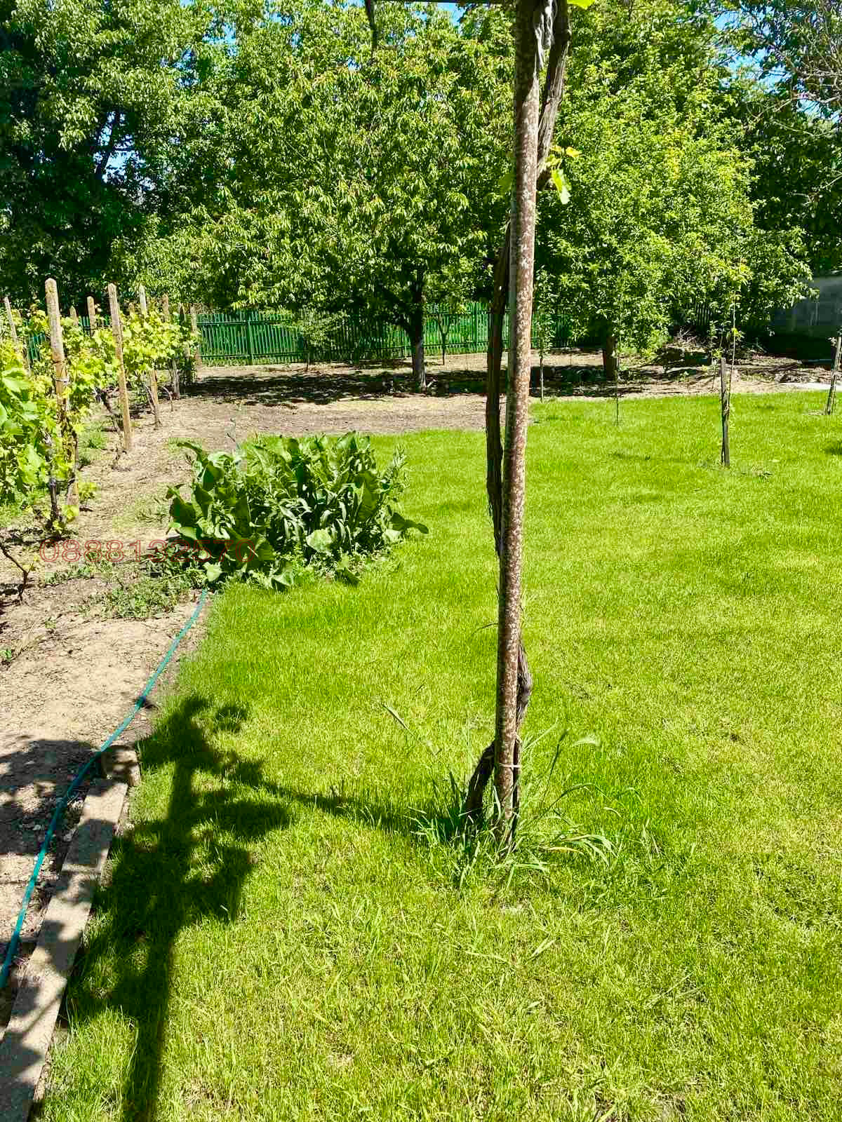 Продава КЪЩА, гр. Тервел, област Добрич, снимка 6 - Къщи - 53733330