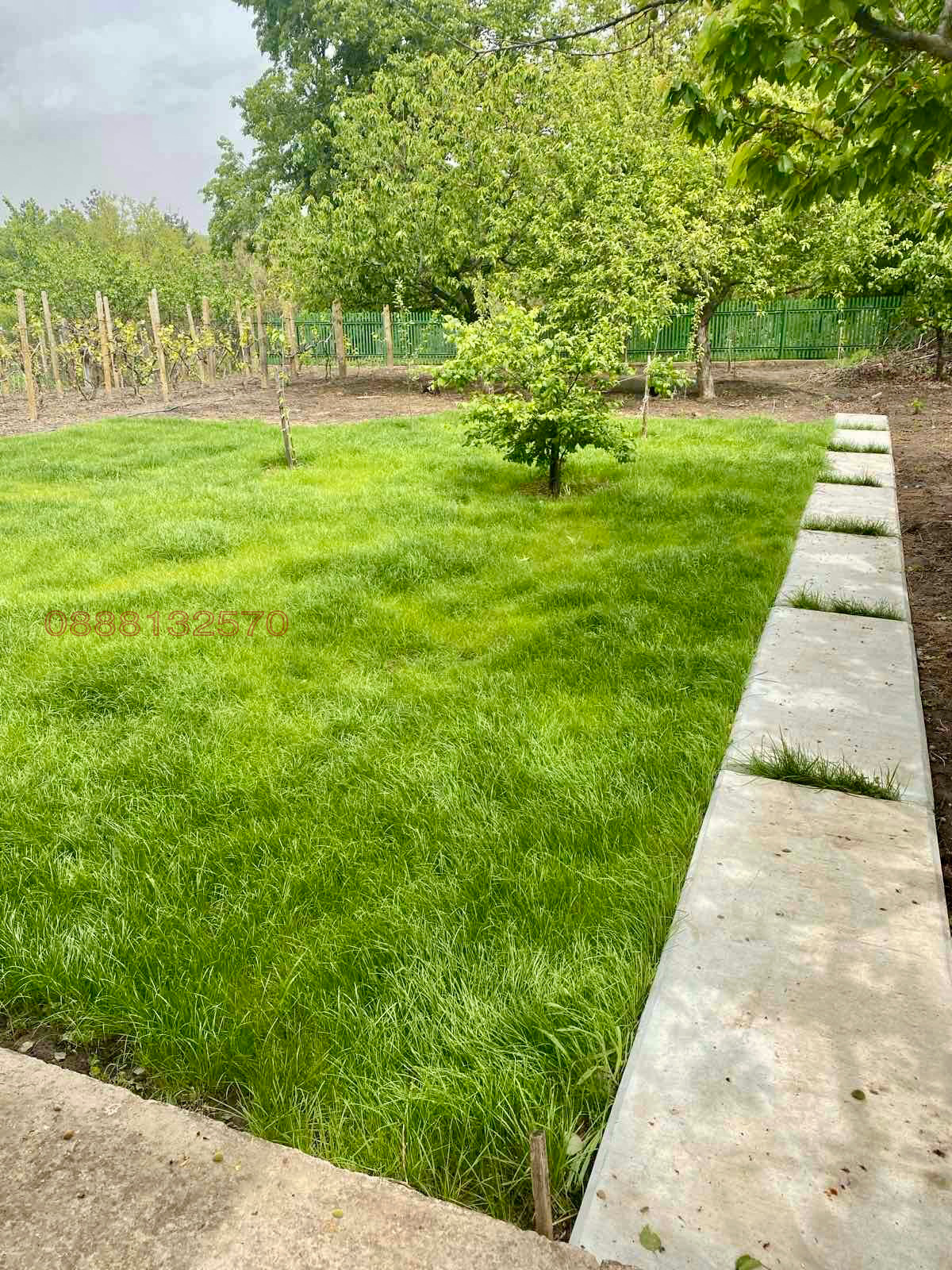 Продава КЪЩА, гр. Тервел, област Добрич, снимка 3 - Къщи - 53733330