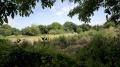 Продава ПАРЦЕЛ, област Стара Загора, с. Дълбоки • 21600 € • 81602326 — Holmes.bg