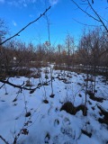 Продава ПАРЦЕЛ, област Перник, с. Извор • 22000 € • 66921535 — Holmes.bg