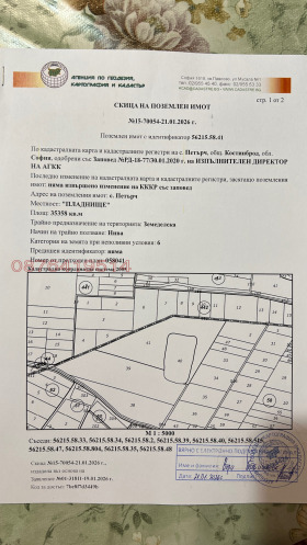 ����� ������� ���������� ����,�. ������, ������ �����