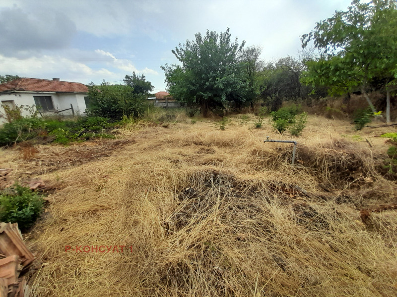 À vendre  Parcelle région Plovdiv , Panitcheri , 780 m² | 92852175