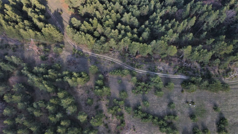 Продава ПАРЦЕЛ, гр. Батак, област Пазарджик, снимка 5 - Парцели - 52780101