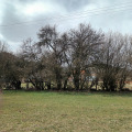 Продава ПАРЦЕЛ, област София, с. Долно Камарци • 63499 € • 44750770 — Holmes.bg