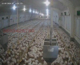 Продава ФЕРМА | Imot.bg — изображение 7