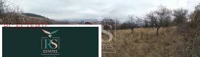 Plot Kalkas, Pernik