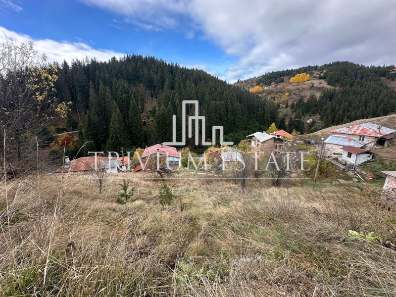 Продава ПАРЦЕЛ, с. Стойките, област Смолян, снимка 4 - Парцели - 52649973