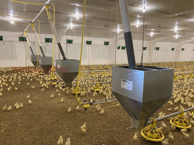 Продава БИЗНЕС ИМОТ, с. Борисово, област Русе, снимка 4 - Други - 52780286