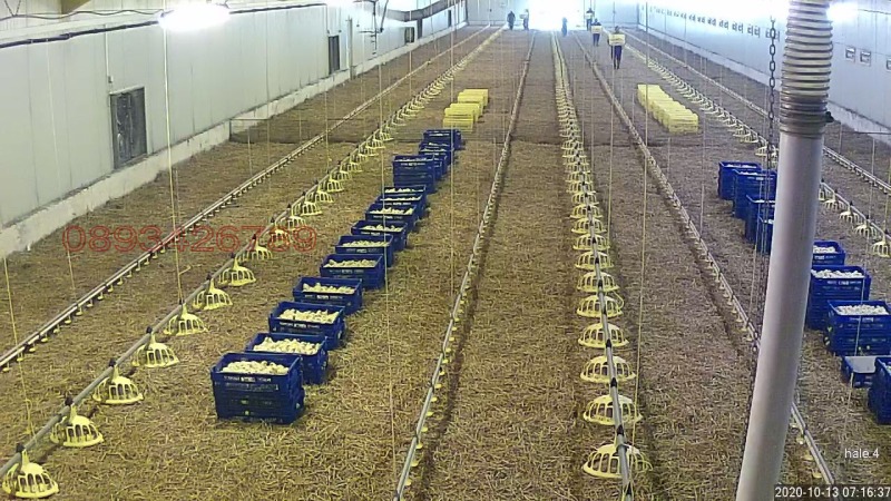 Продава БИЗНЕС ИМОТ, с. Борисово, област Русе, снимка 3 - Други - 52780286