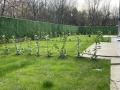 Продава КЪЩА, гр. София, Обеля, снимка 2
