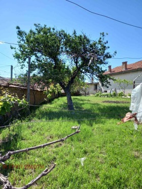 ������� ���� | Imot.bg � ����� ������ 8