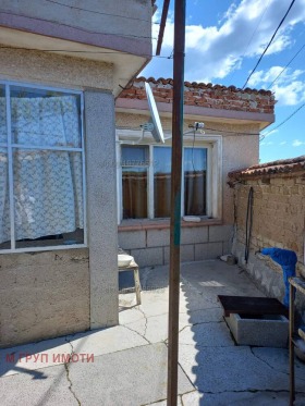 ������ ������� ����