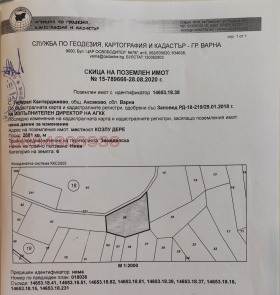 ����� ������� ������,�. ������� ������������, ������ �����