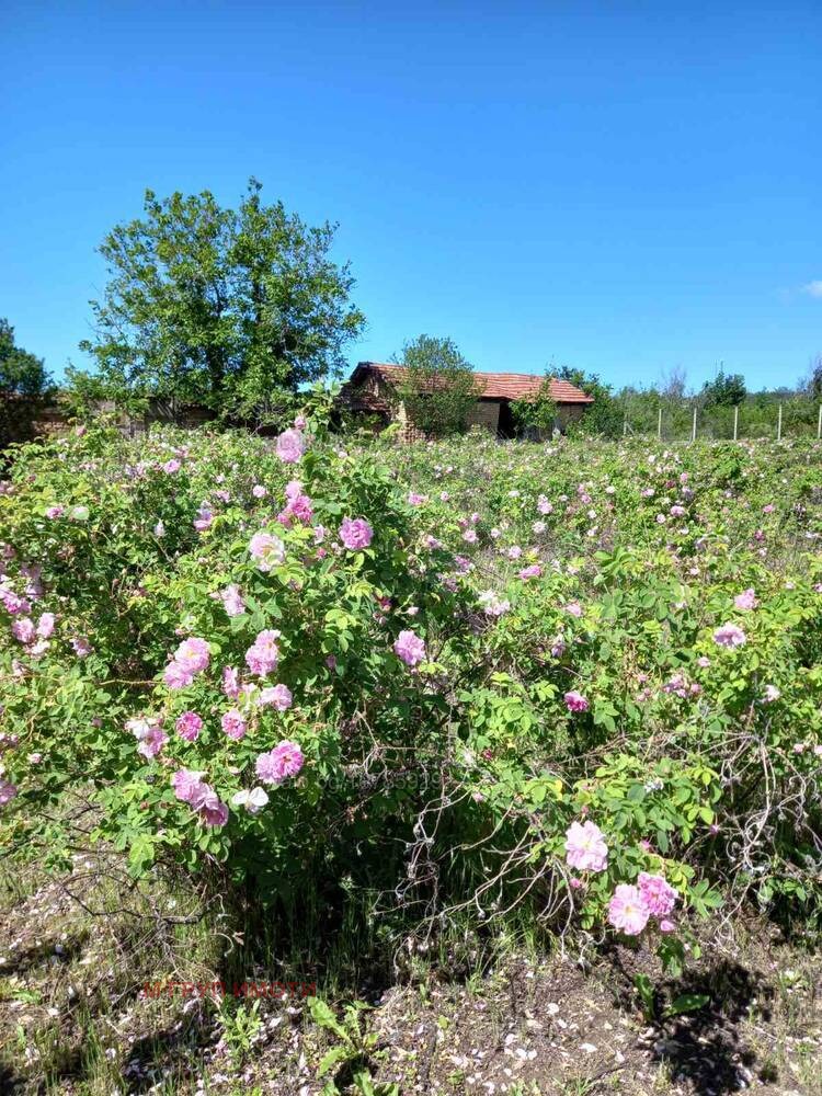 Продава КЪЩА, с. Старосел, област Пловдив, снимка 6 - Къщи - 52803390