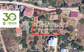 ����� ������� ������,���� �����, ������